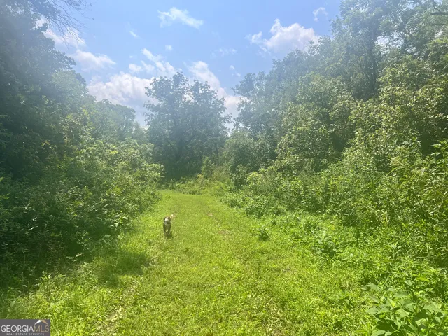a view of a big yard