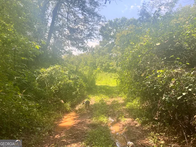 a close view of shoes in a bathroom