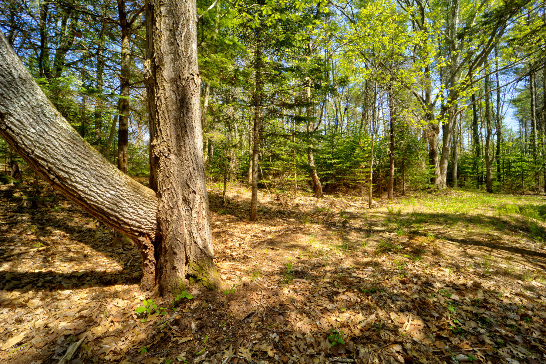 Tbd Frank's Flat Sedgwick, ME 04676 - Photo 26 of 54 Franks Flat Land 8