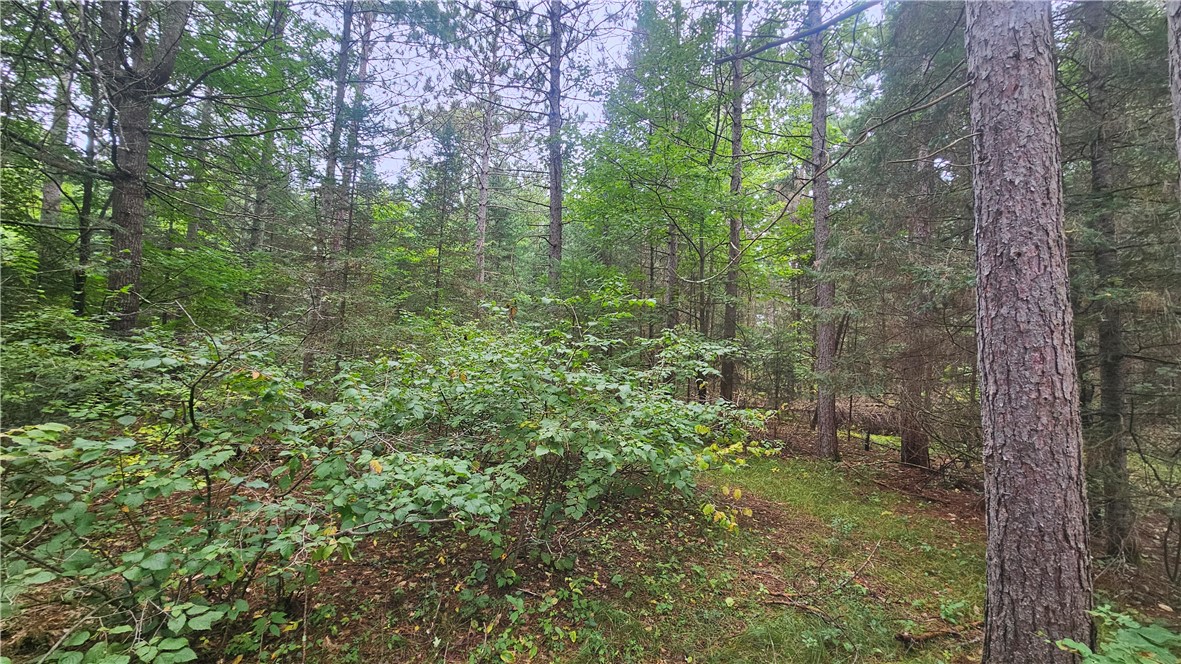 Lot 1 Hazelnut Lane Hayward, WI 54843 - Photo 4 of 4