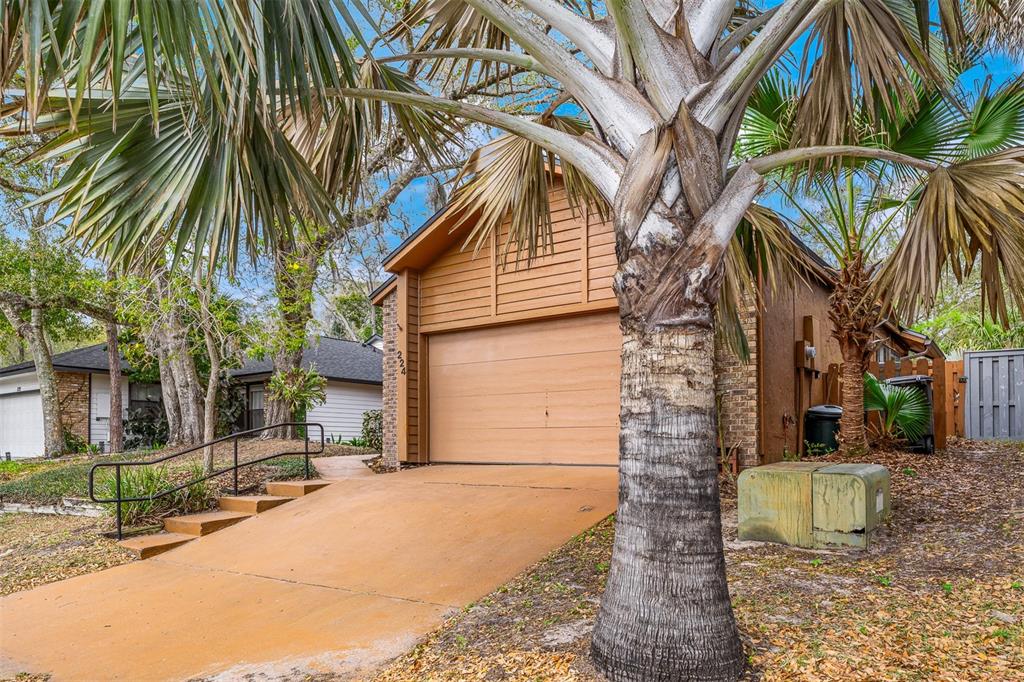 224 Springside Road Longwood, FL 32779 - Photo 43 of 52