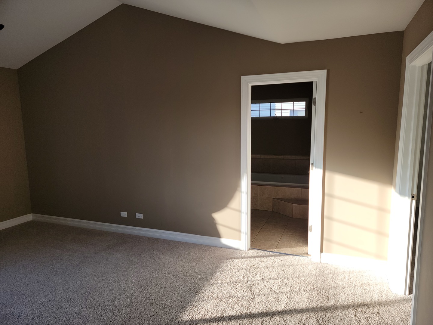904 Deer Path Drive Antioch, IL 60002 - Photo 24 of 42 a view of an empty room with a fireplace and a window