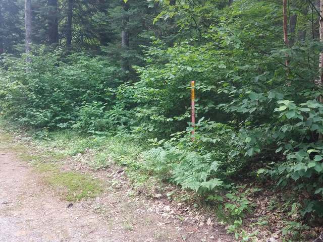 Nine 9 Mile Road Eagle River, WI 54521 - Photo 8 of 10 Gallery Image 8