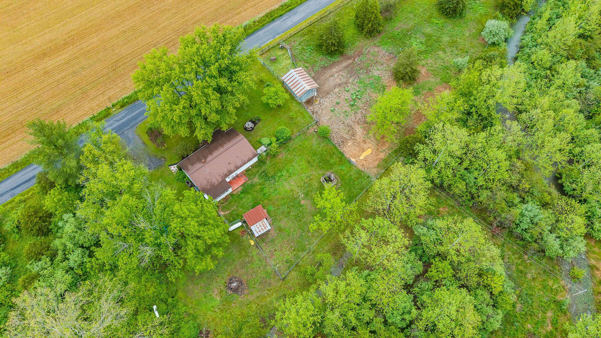 3292 Deerfield Valley Road Deerfield, VA 24432 - Photo 66 of 69 a view of a yard with plants