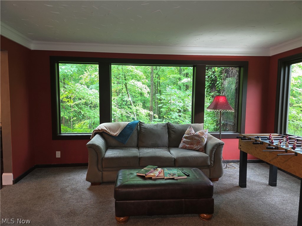 2868 Shade Road Akron, OH 44333 - Photo 20 of 49 Room with multiple large windows, dark trim, and a serene green outdoor backdrop