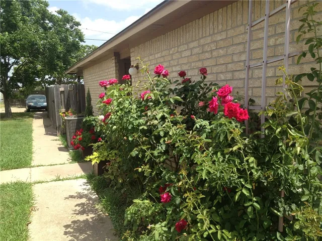 a view of a livingroom with a ceiling fan and window