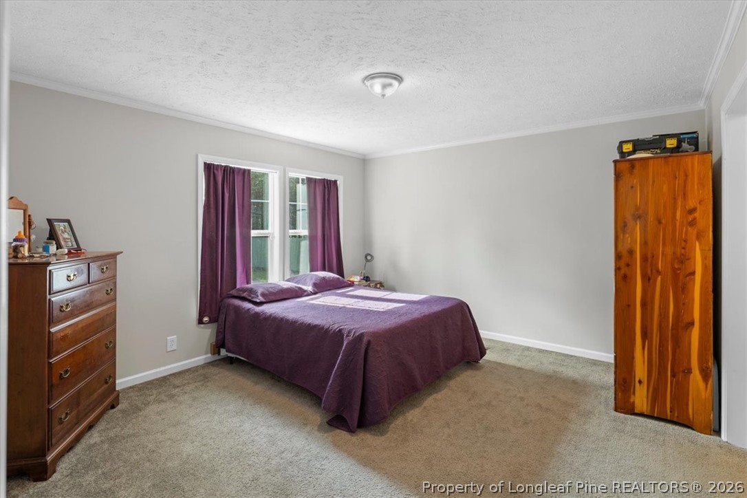 626 Ballance Farm Road St. Pauls, NC 28384 - Photo 6 of 27 Primary bedroom