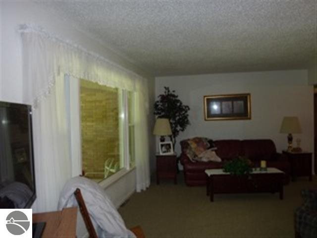 8318 South Federal Road Shepherd, MI 48883 - Photo 5 of 46 1746658-4.JPG