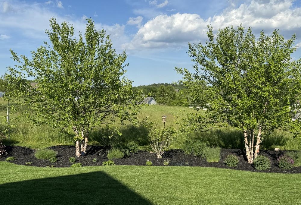 1342 Bucky's Run Green Bay, WI 54313 - Photo 65 of 66