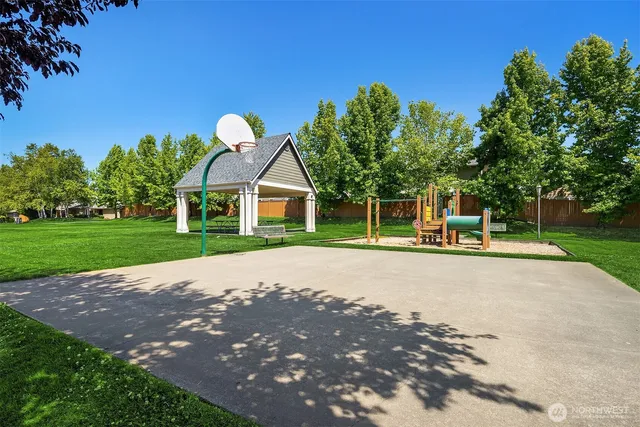 a view of a park with slide trees