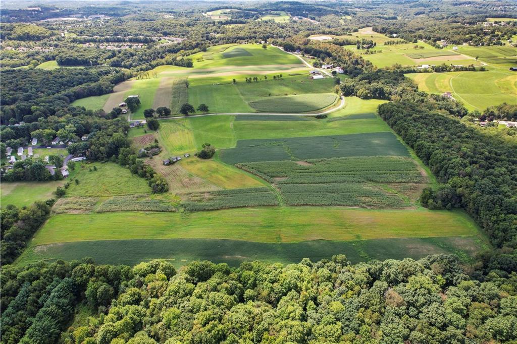 160 Steel School Road Freedom, PA 15042 - Photo 5 of 21 Gallery Image 5