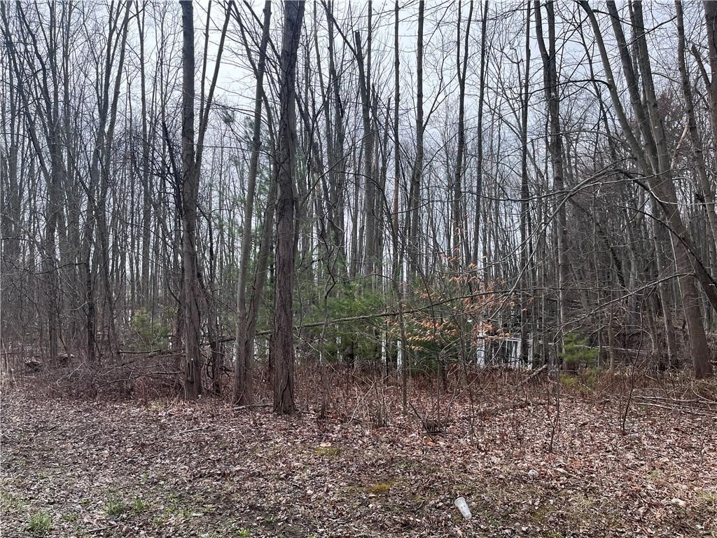 0 Packwood Road Geneva, NY 14456 - Photo 4 of 9 Gallery Image 4