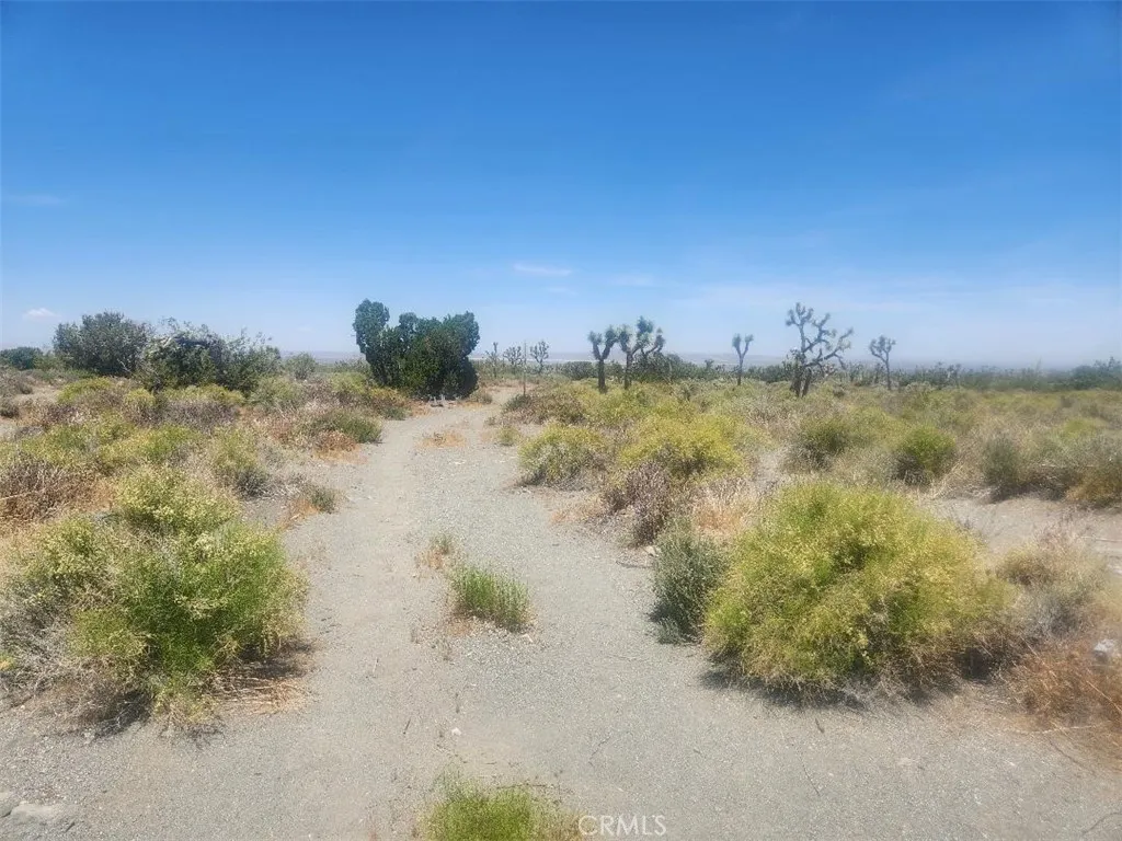 0 Minero Road Pinon Hills, CA 92372 - Photo 6 of 8