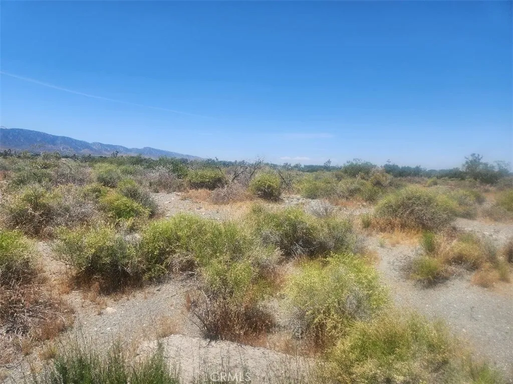 0 Minero Road Pinon Hills, CA 92372 - Photo 7 of 8