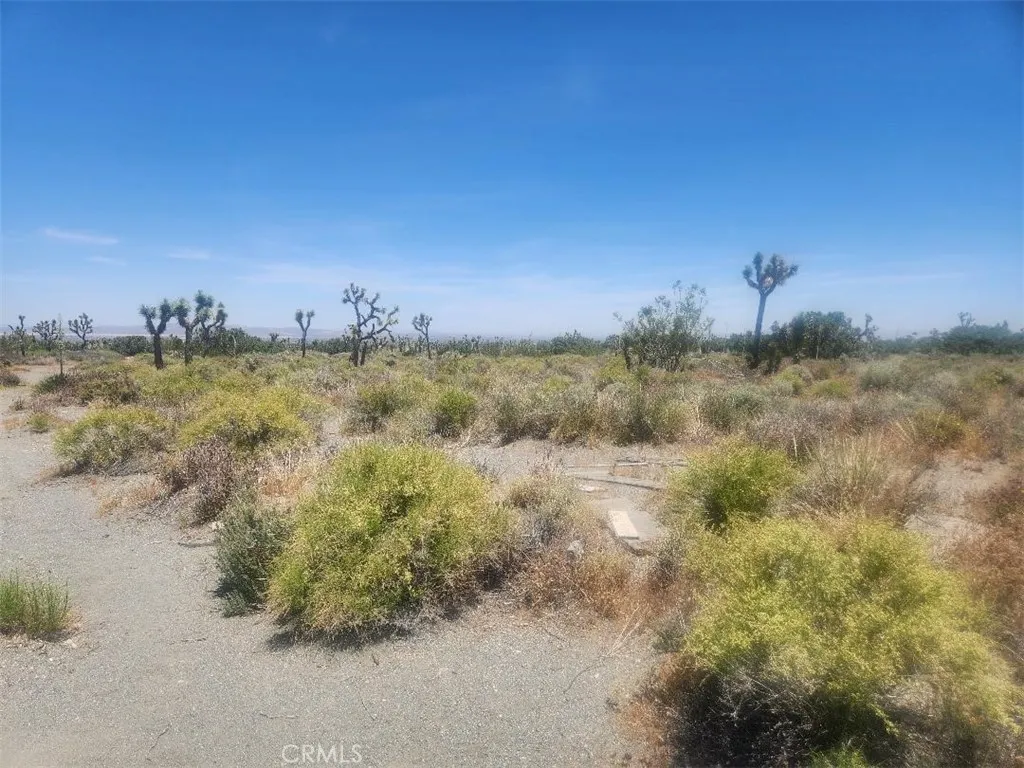 0 Minero Road Pinon Hills, CA 92372 - Photo 8 of 8