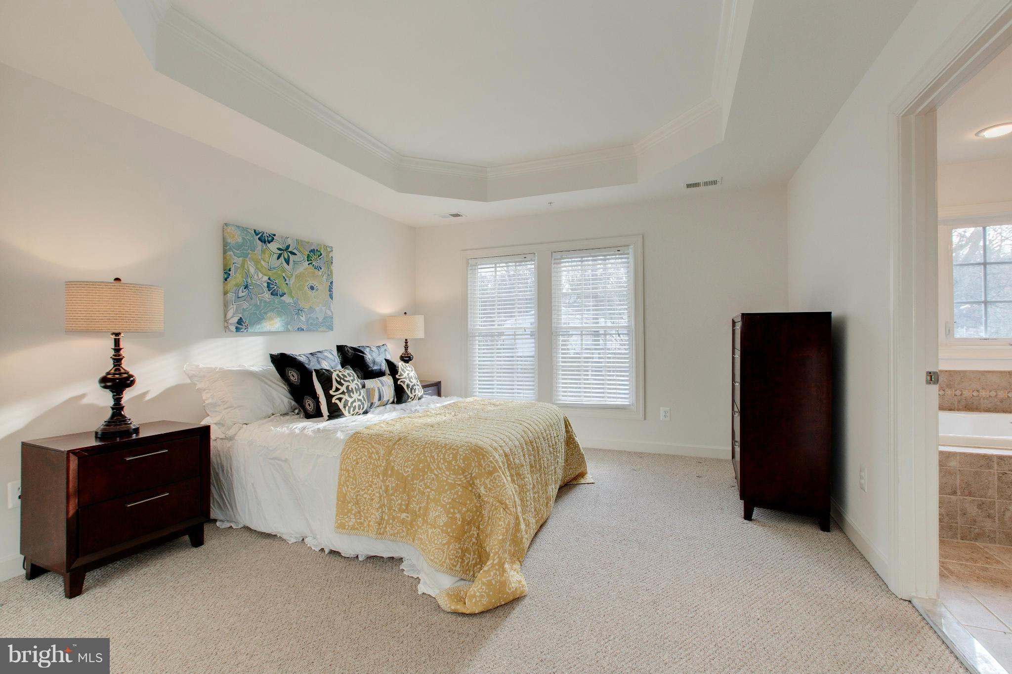 816 West Glebe Road Alexandria, VA 22305 - Photo 16 of 30 Master Bedroom With Tray Ceiling