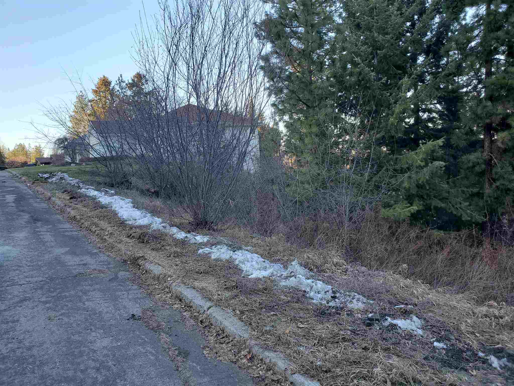X West Toni Rae Drive Spokane, WA 99218 - Photo 4 of 4 Gallery Image 4