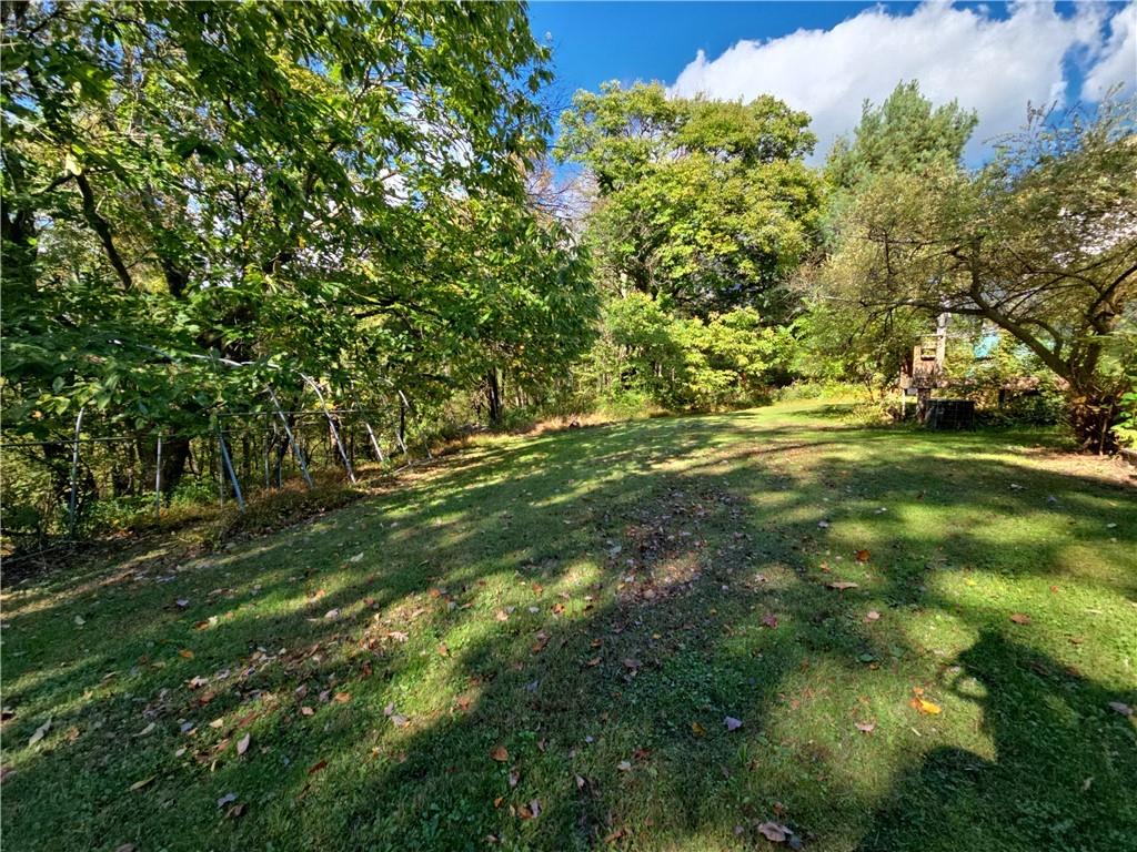 1405 Madison Road Templeton, PA 16259 - Photo 50 of 50 a view of a trees with a yard