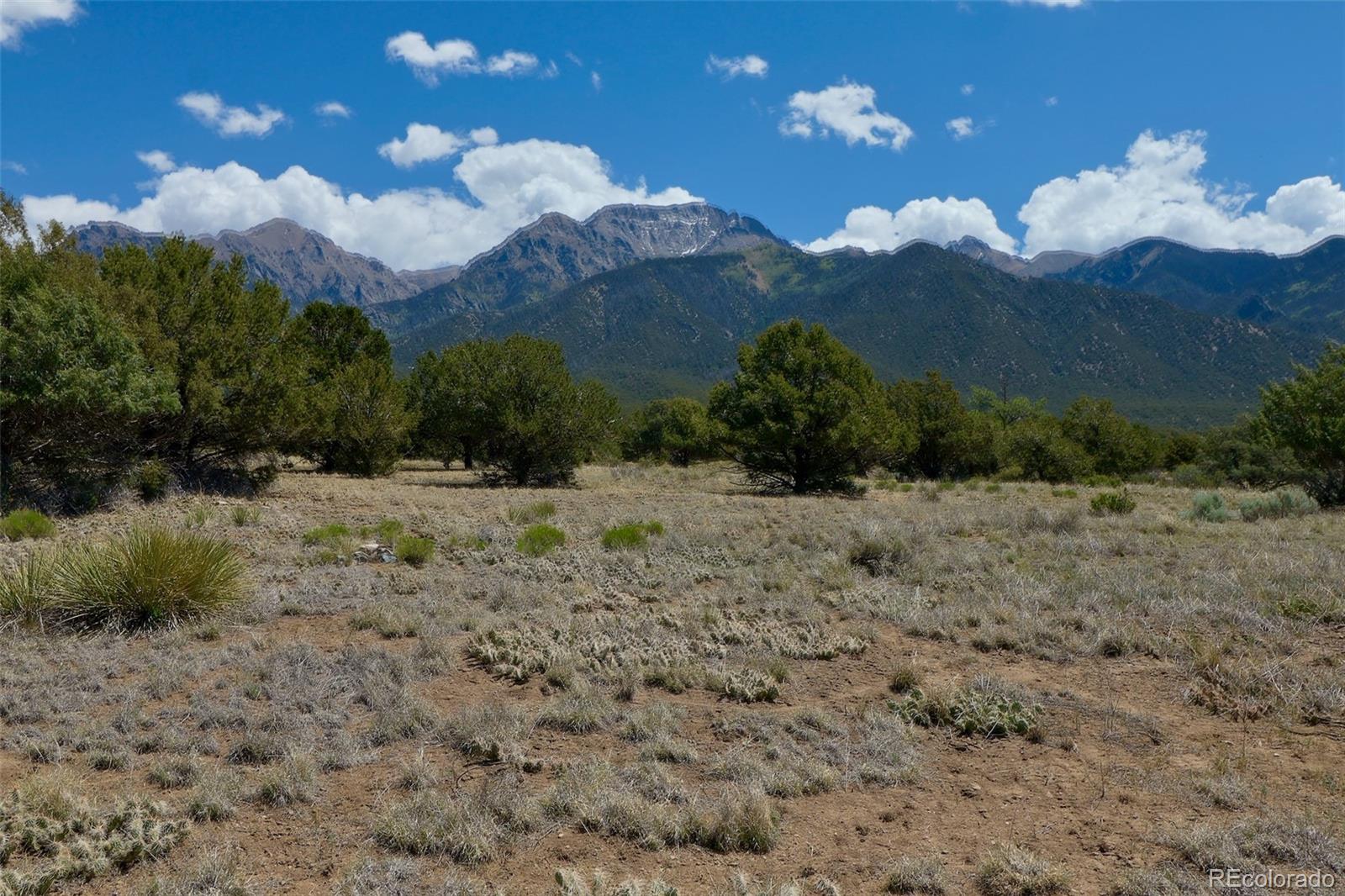 1563 Wagon Wheel Road Crestone, CO 81131 - Photo 5 of 10 a view of a yard with a house