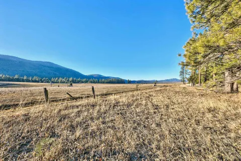a view of an outdoor space and a yard