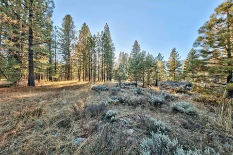 a view of outdoor space with trees all around