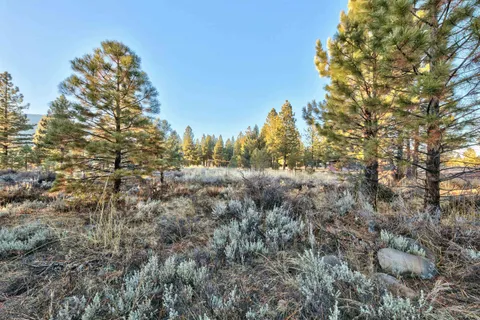 a view of a field of grass and trees