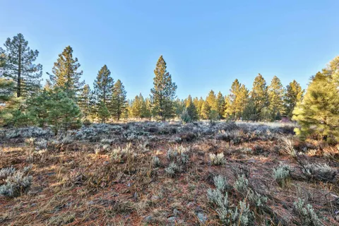 a view of a yard and mountain view