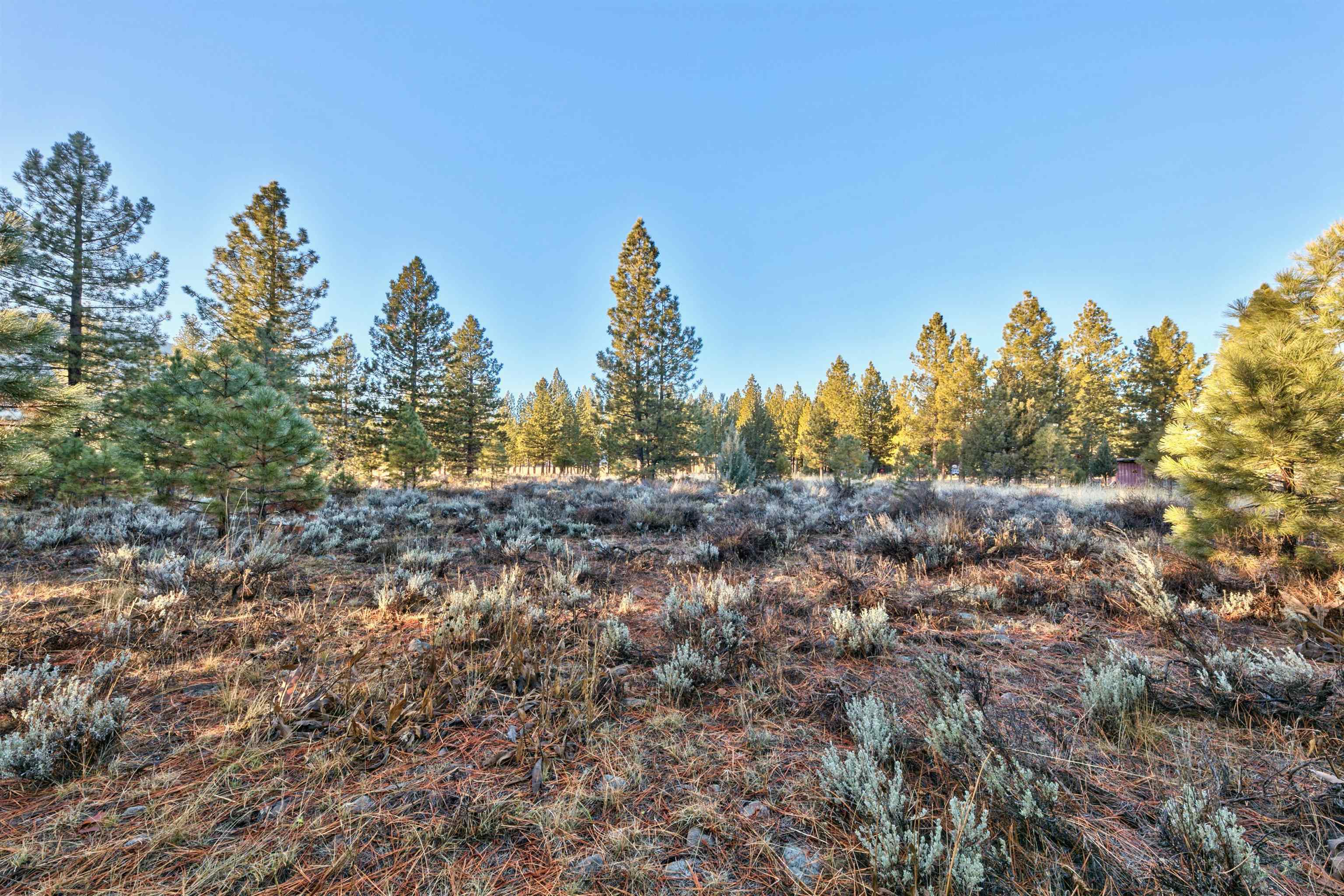 400 Dante Road Sierraville, CA 96126 - Photo 14 of 19 a view of a yard and mountain view