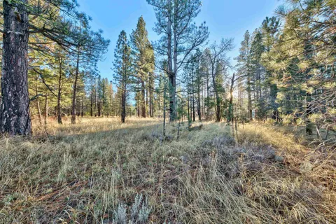 a view of outdoor space with green space