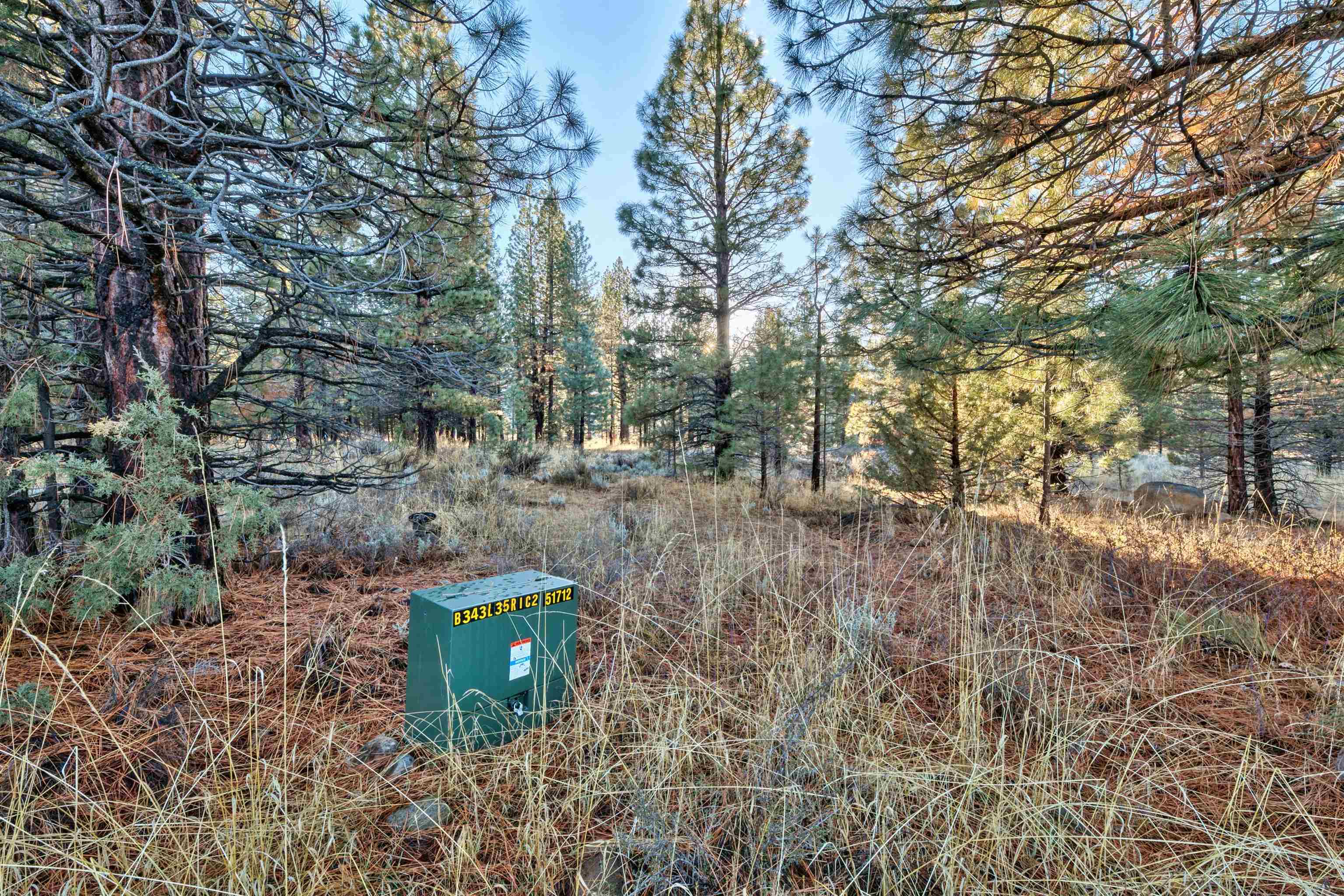 400 Dante Road Sierraville, CA 96126 - Photo 18 of 19 a green field covered with trees