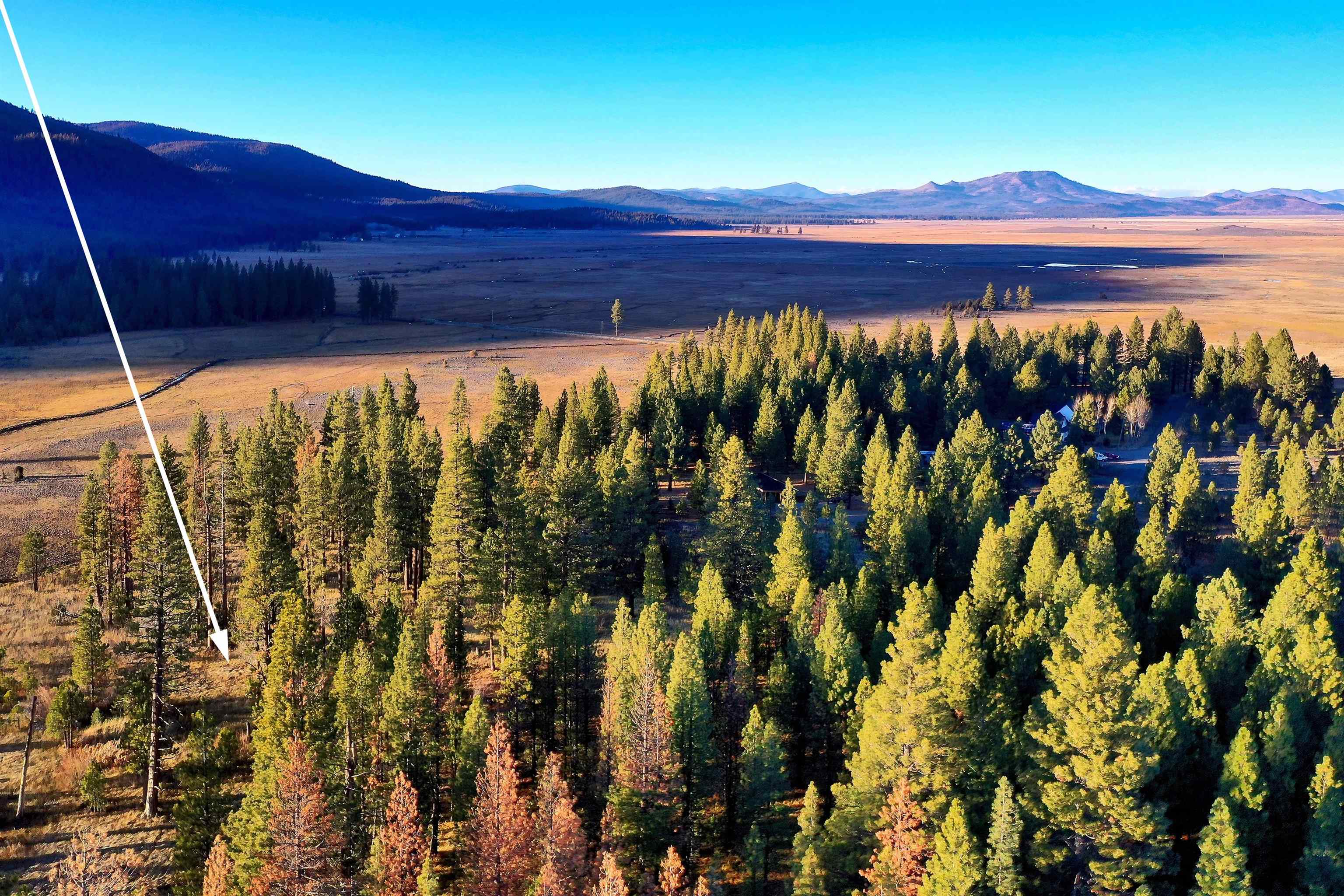 400 Dante Road Sierraville, CA 96126 - Photo 3 of 19 a view of an outdoor area and swimming pool