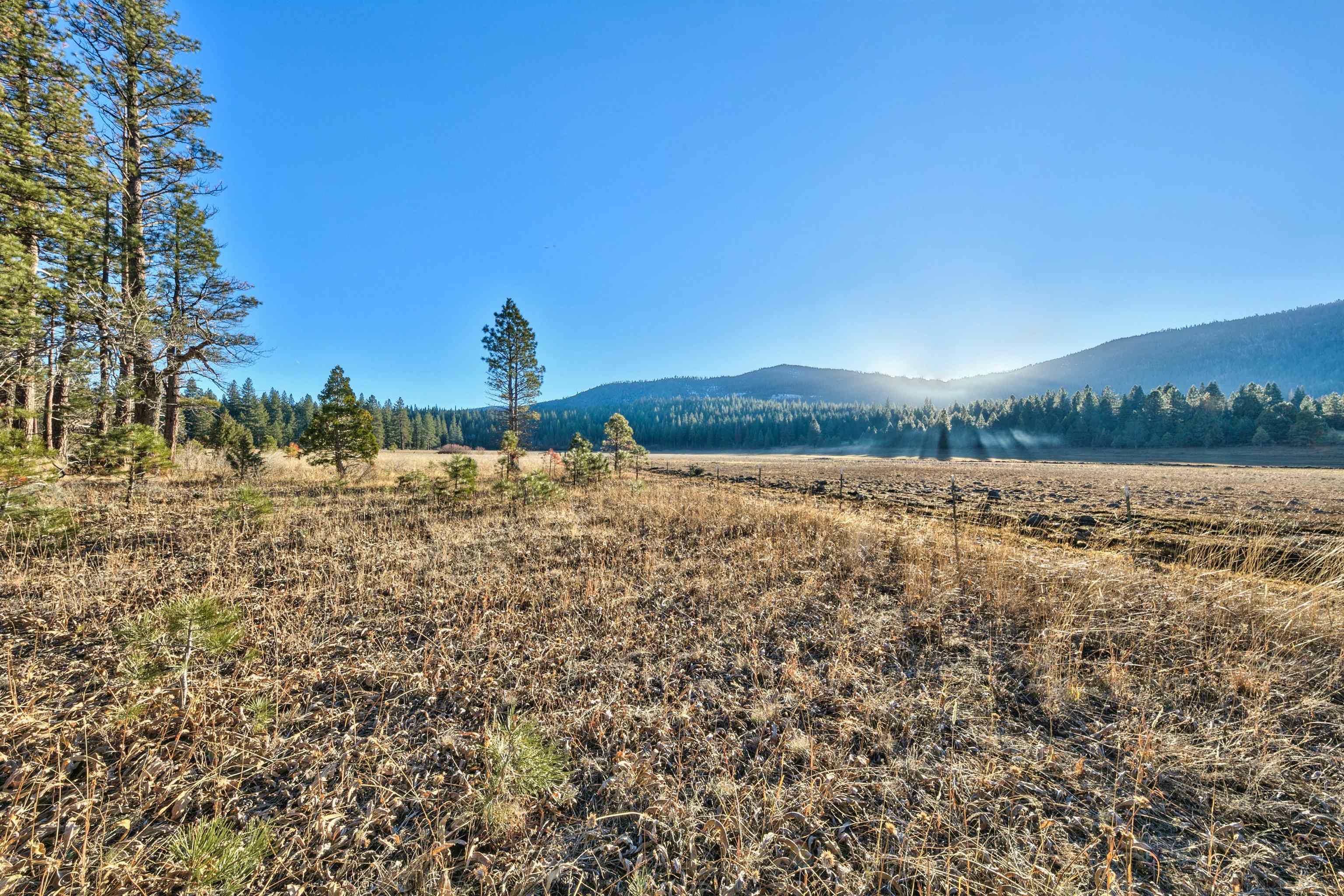 400 Dante Road Sierraville, CA 96126 - Photo 5 of 19 a view of a lake with houses in the background