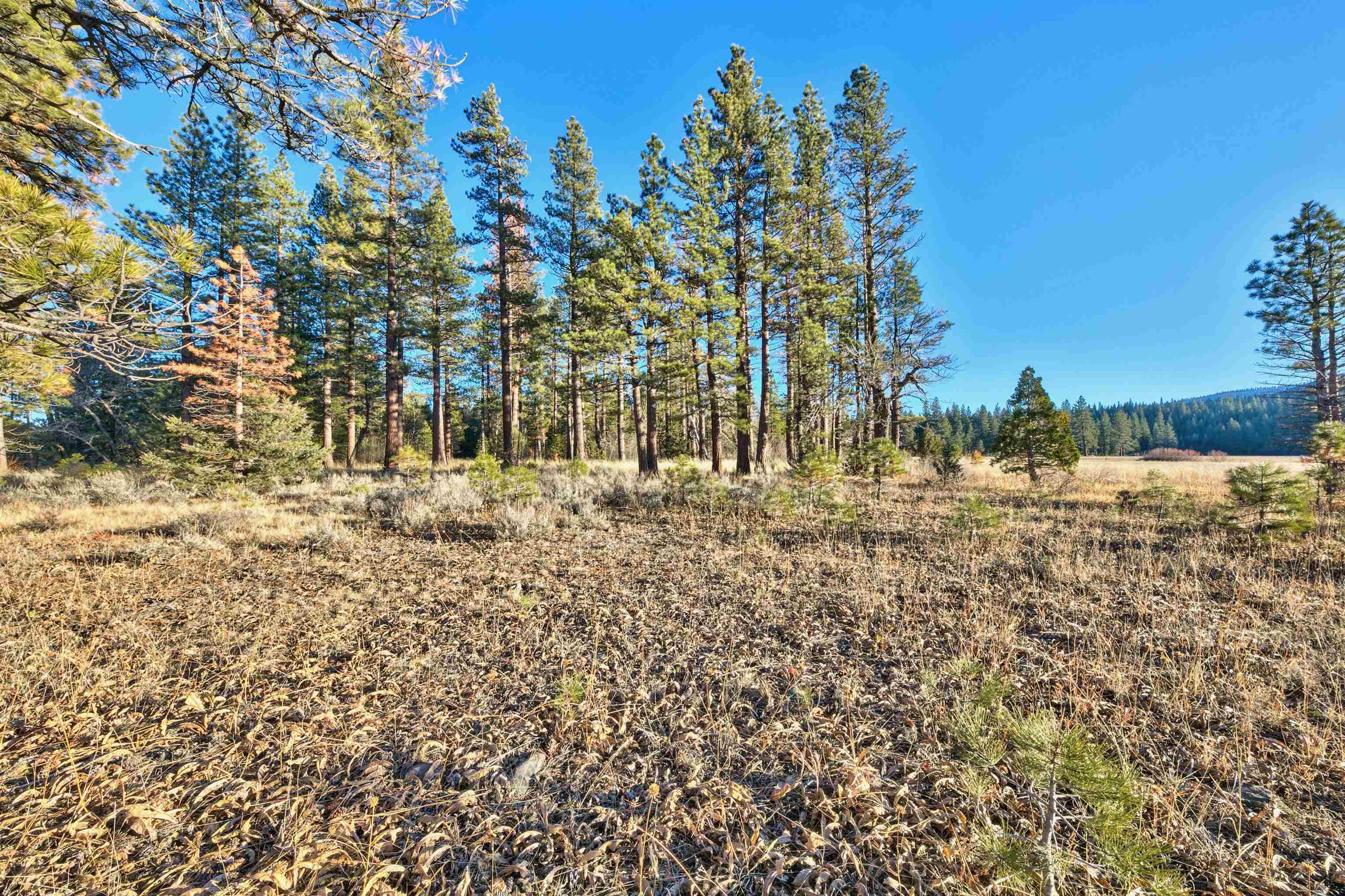 400 Dante Road Sierraville, CA 96126 - Photo 6 of 19 a view of ocean