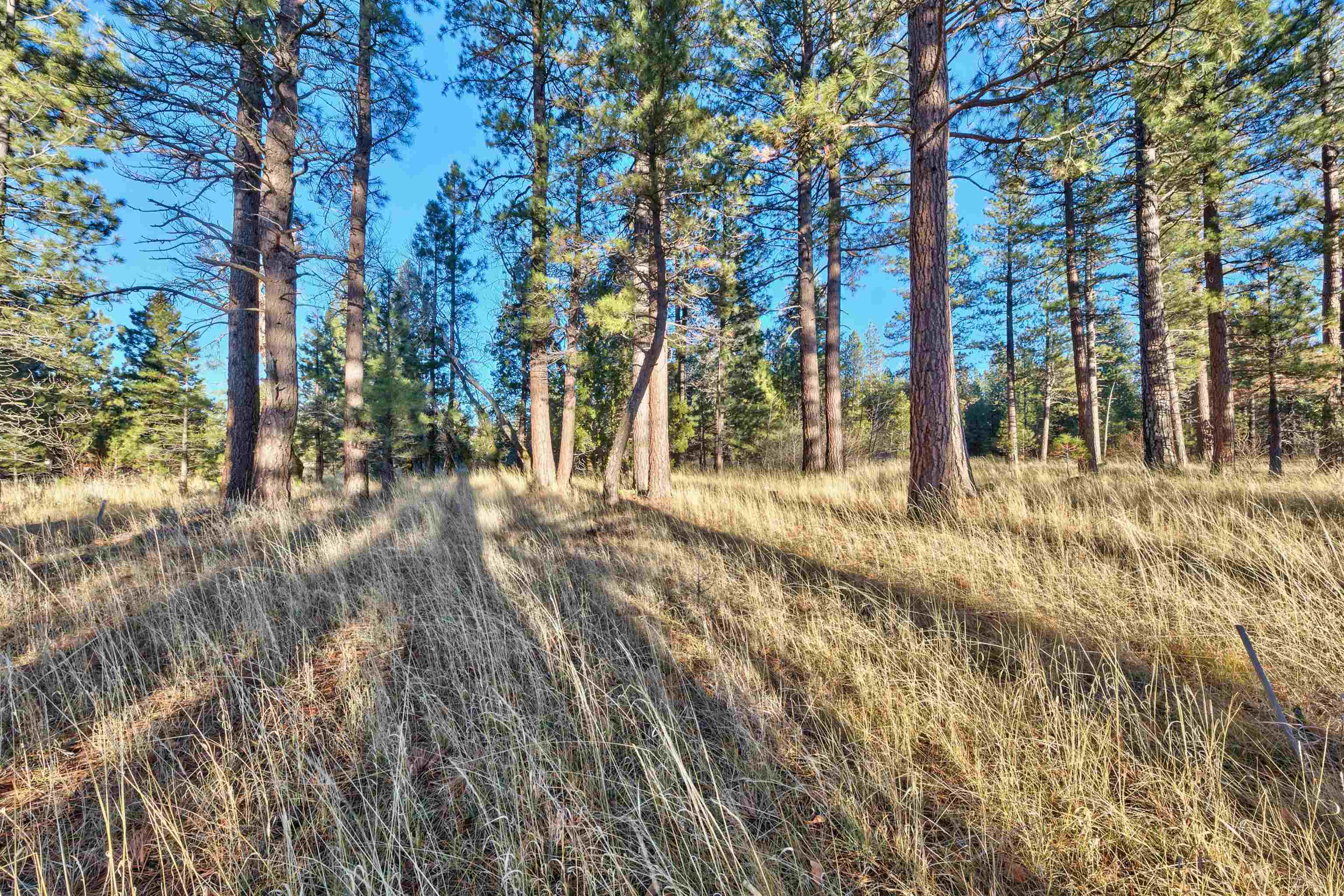 400 Dante Road Sierraville, CA 96126 - Photo 7 of 19 a view of under construction area