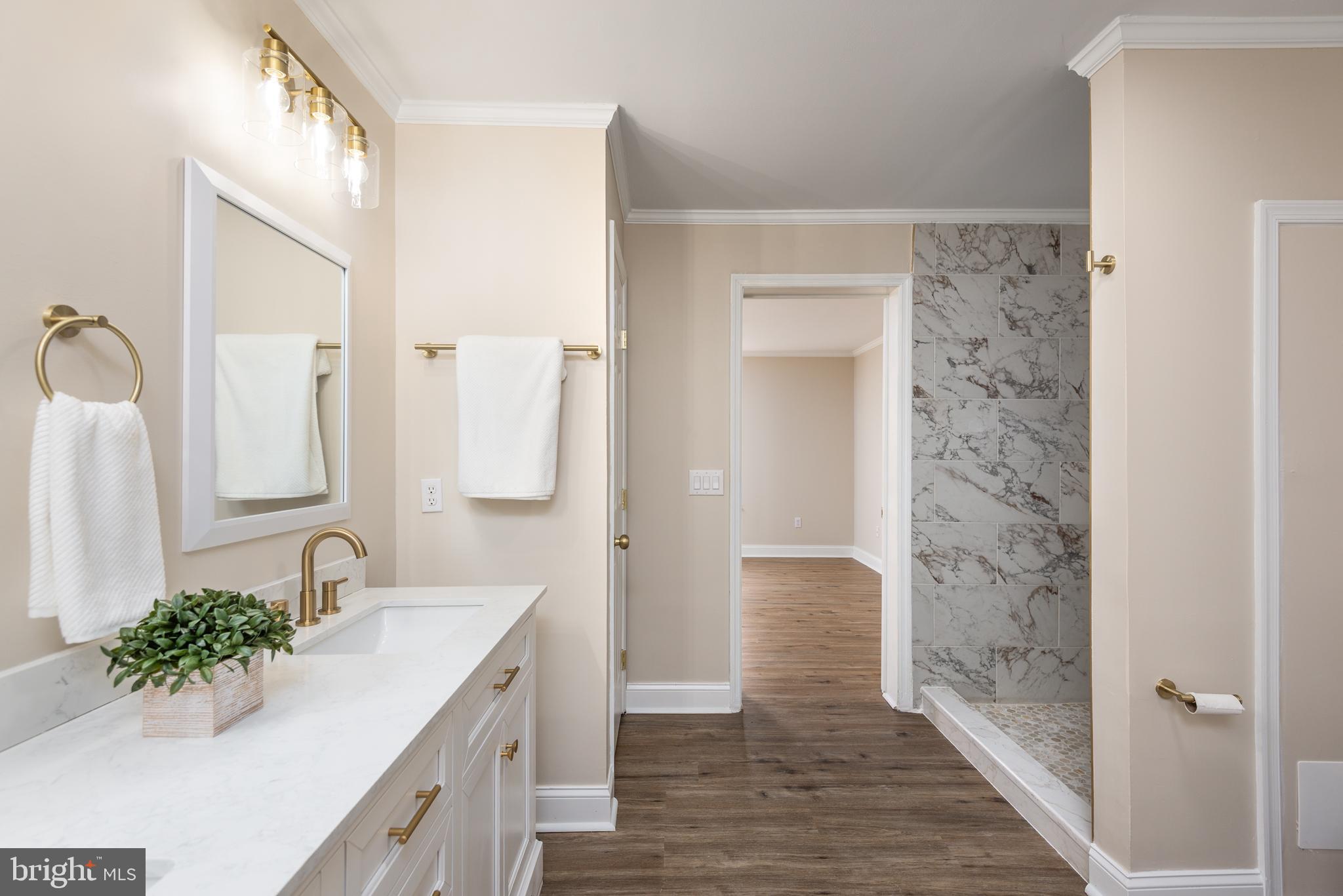 14245 Shiloh Church Road Laurel, DE 19956 - Photo 18 of 32 Master bath