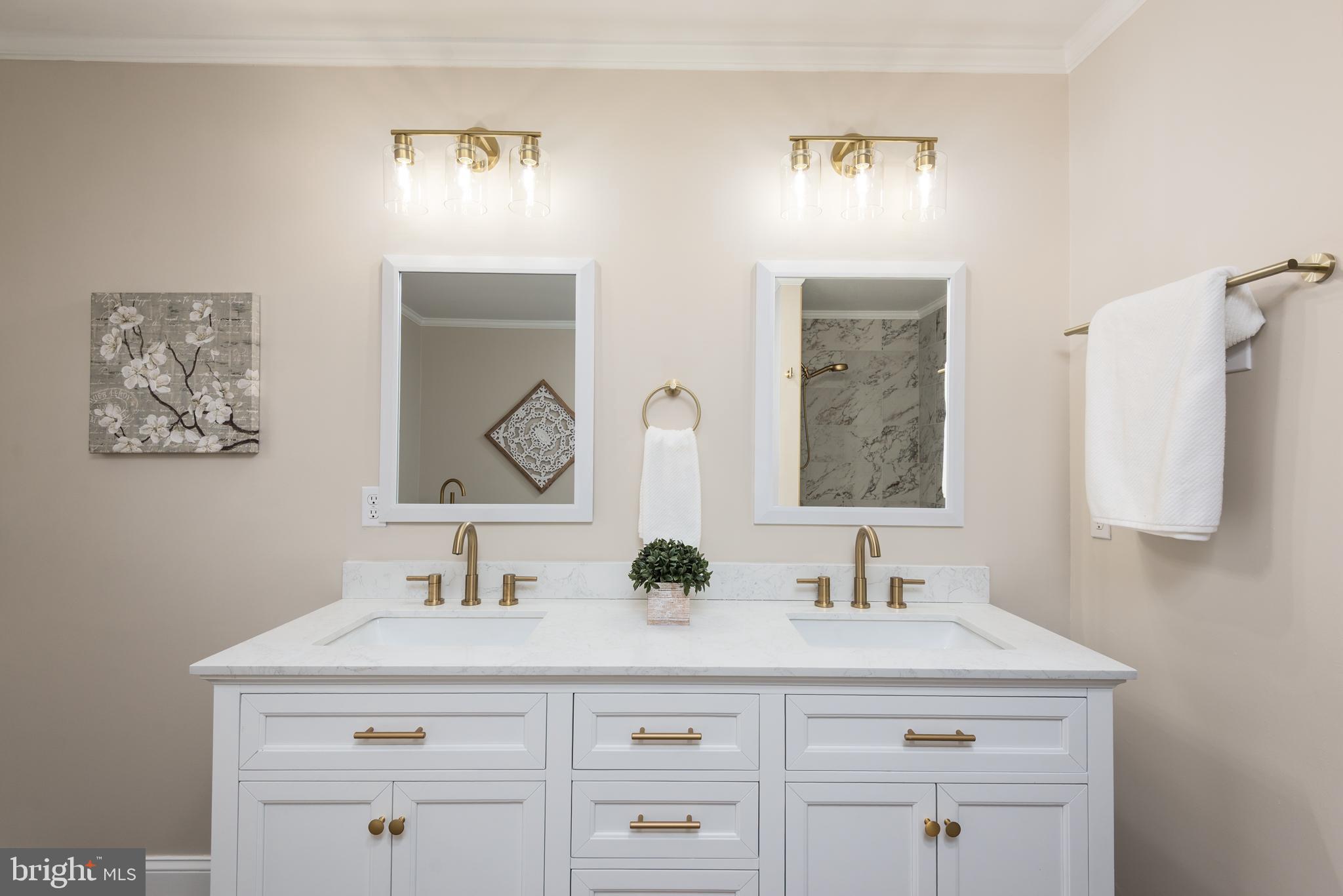 14245 Shiloh Church Road Laurel, DE 19956 - Photo 19 of 32 Master bath double vanity