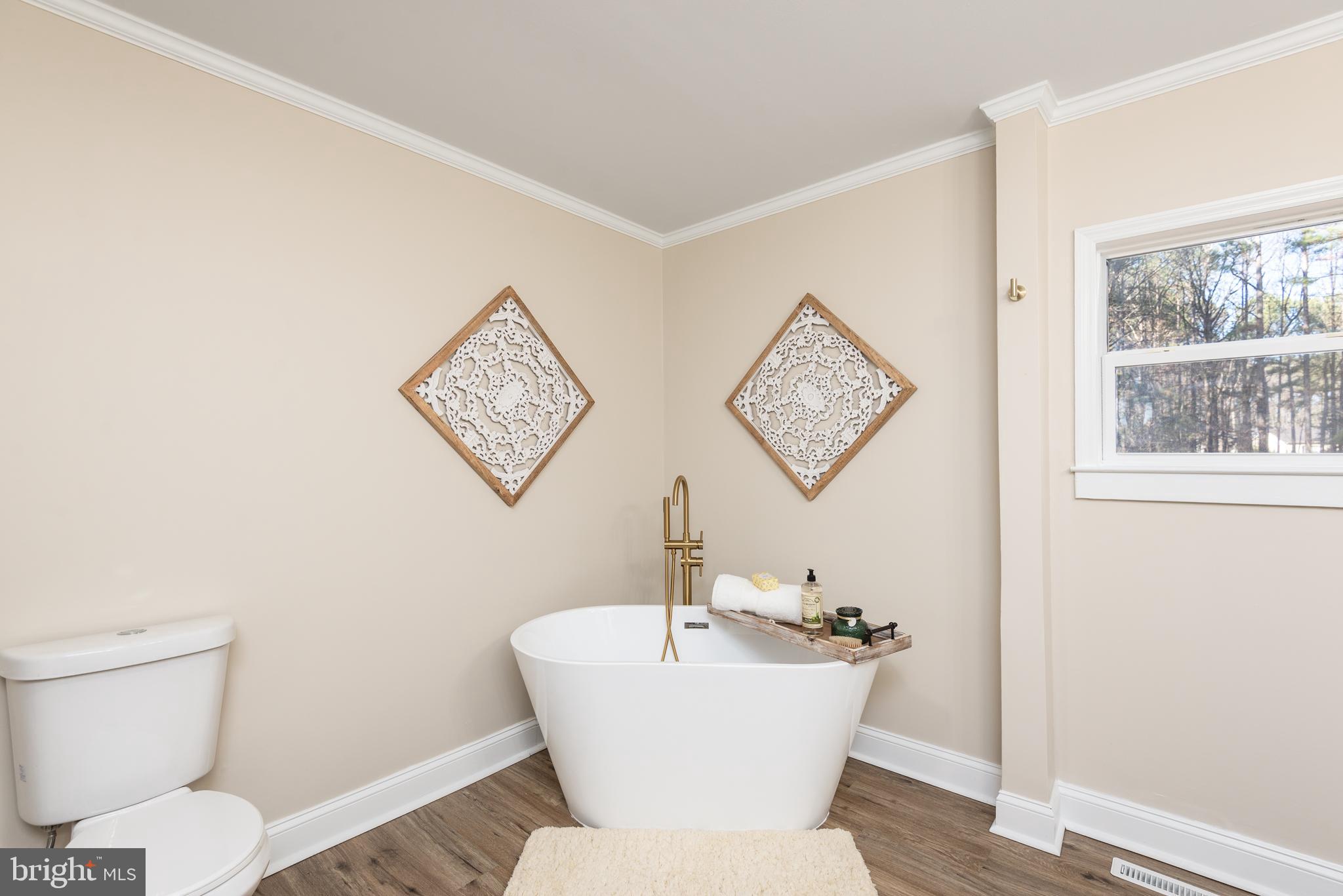 14245 Shiloh Church Road Laurel, DE 19956 - Photo 21 of 32 Master bath soaking tub