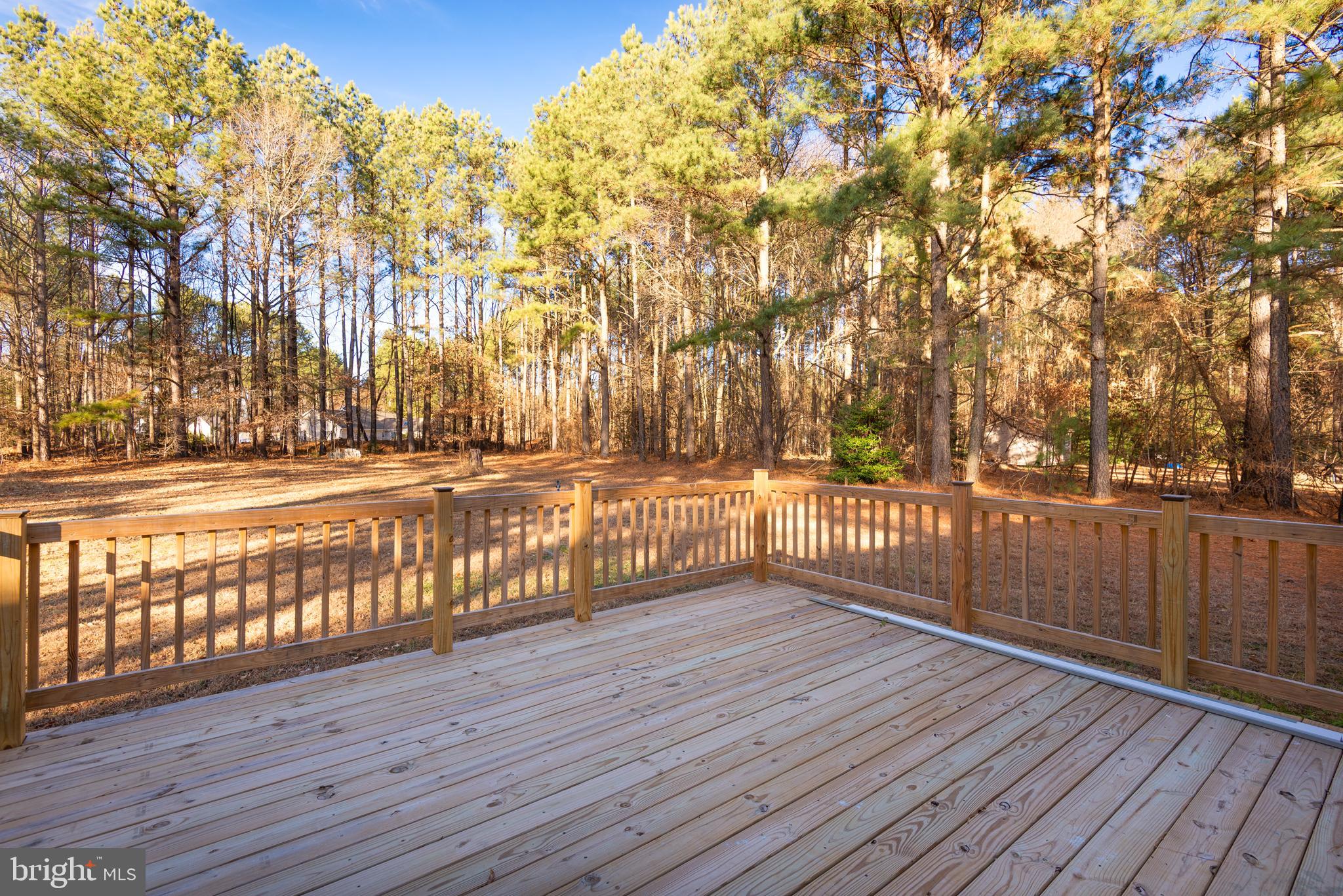 14245 Shiloh Church Road Laurel, DE 19956 - Photo 29 of 32 Back deck