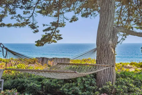 a view of a yard in front of the house