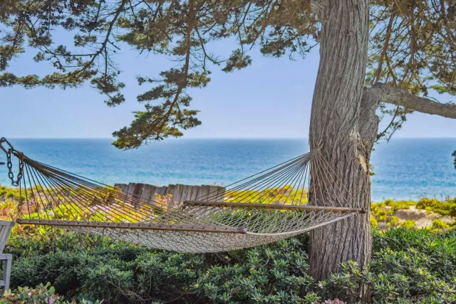 a view of a yard in front of the house