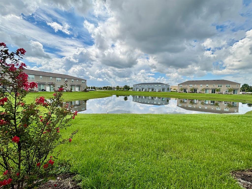 1005 Spring Palms Loop Orlando, FL 32828 - Photo 24 of 29 a view of a big yard with potted plants and a large tree
