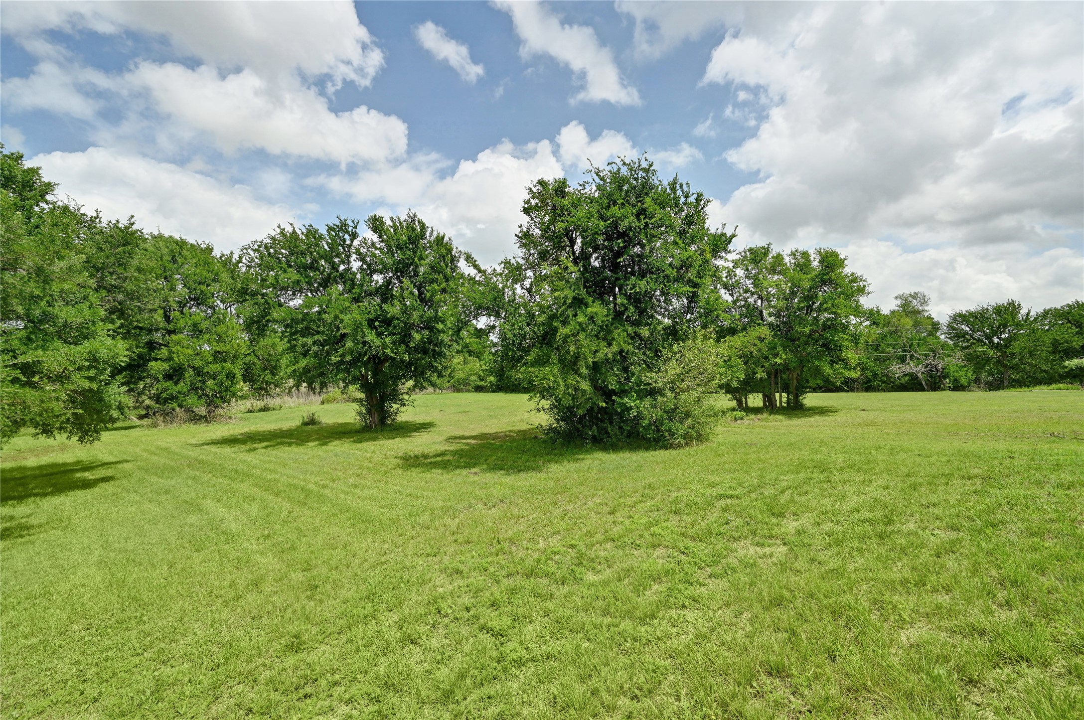 1700 Tanner Loop Taylor, TX 76574 - Photo 24 of 32 Expansive green space featuring mature trees and a clear sky with scattered clouds
