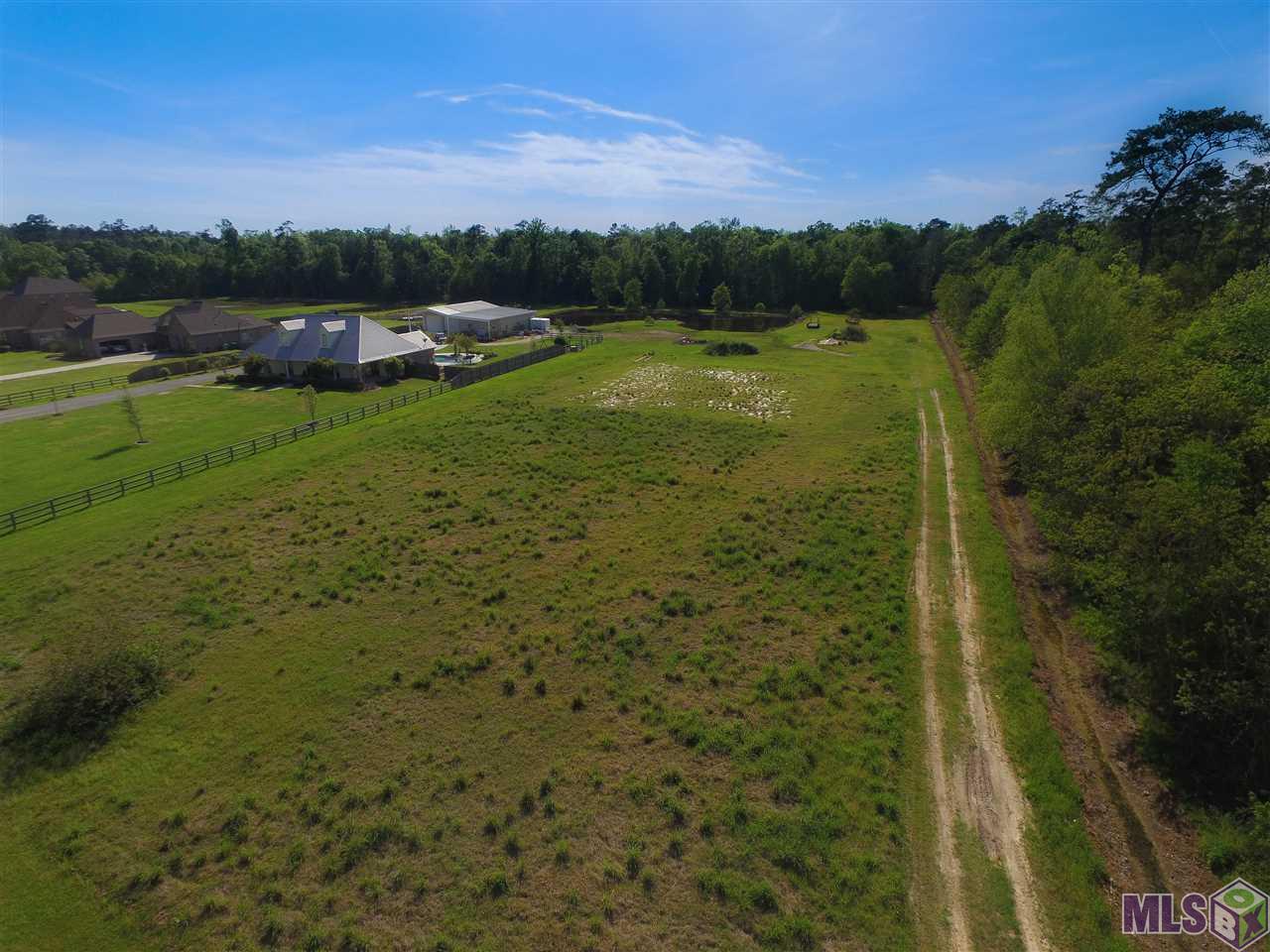 35055 Perkins Road Denham Springs, LA 70706 - Photo 1 of 4 Gallery Image 1