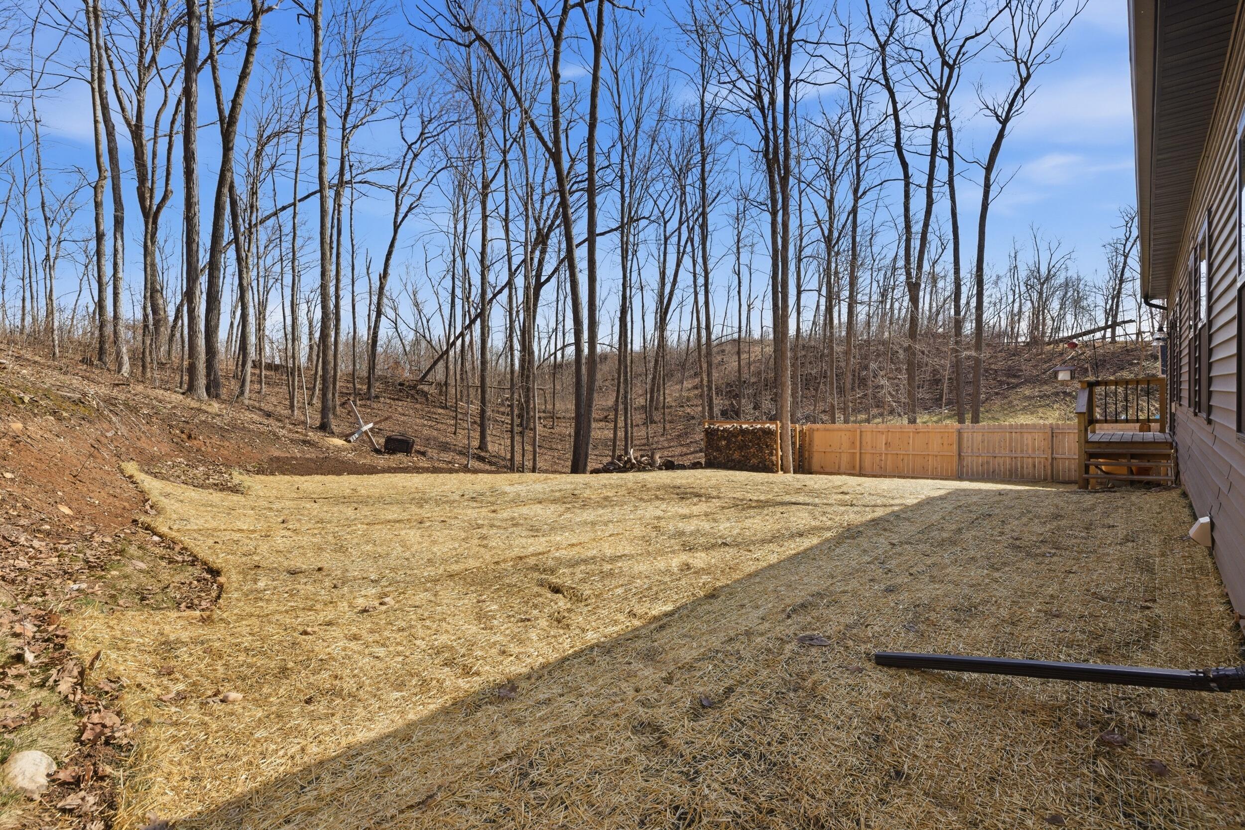 W433 Helen Lane Osceola, WI 53010 - Photo 34 of 49 Wooded Backyard