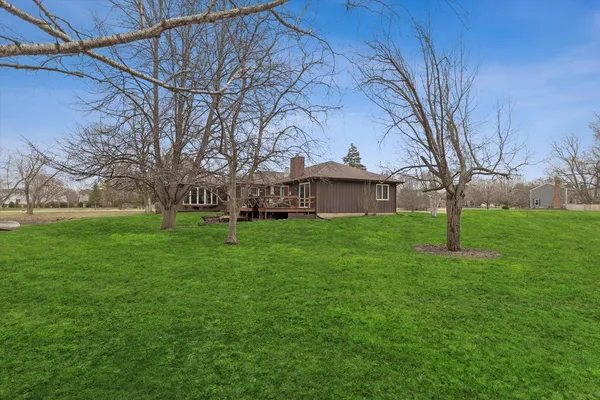 a view of yard with trees