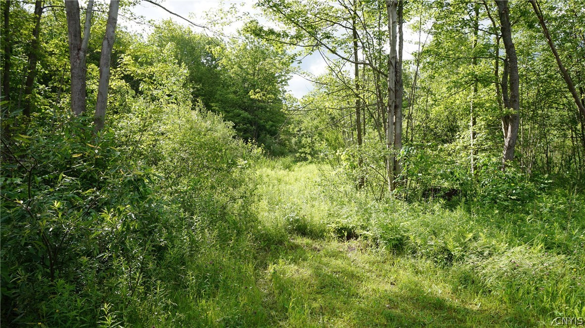 380 Kenyon Road Mexico, NY 13114 - Photo 1 of 1