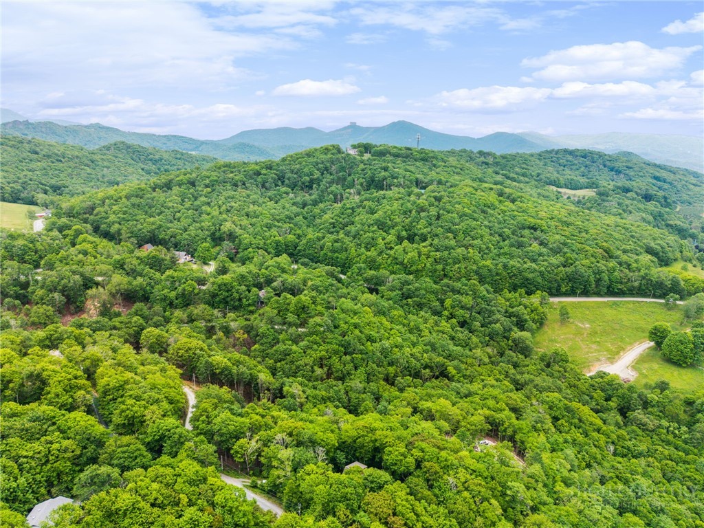 405 Snowridge Road Banner Elk, NC 28604 - Photo 45 of 50