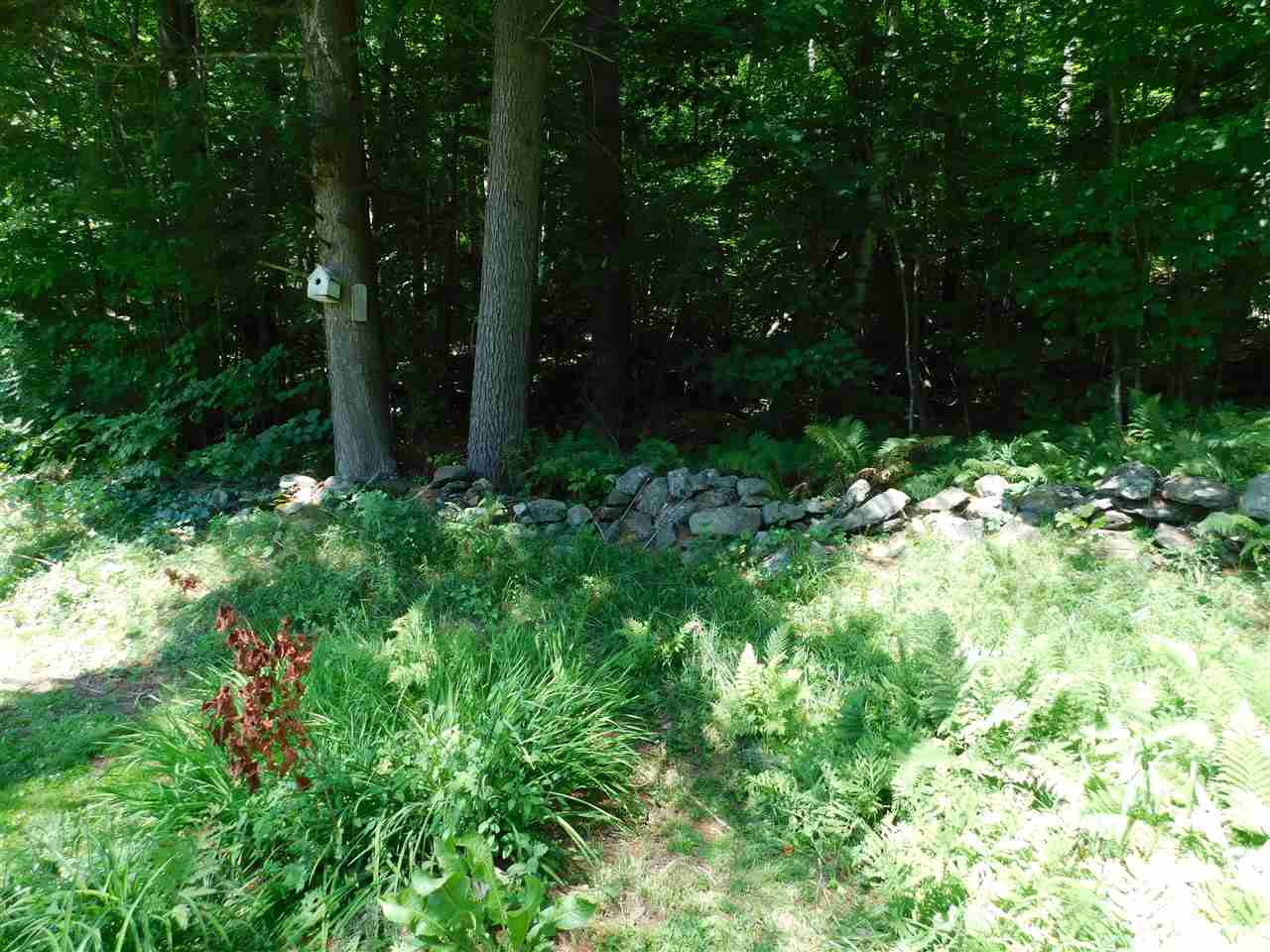 30 Shoestrap Road Lyme, NH 03768 - Photo 14 of 20