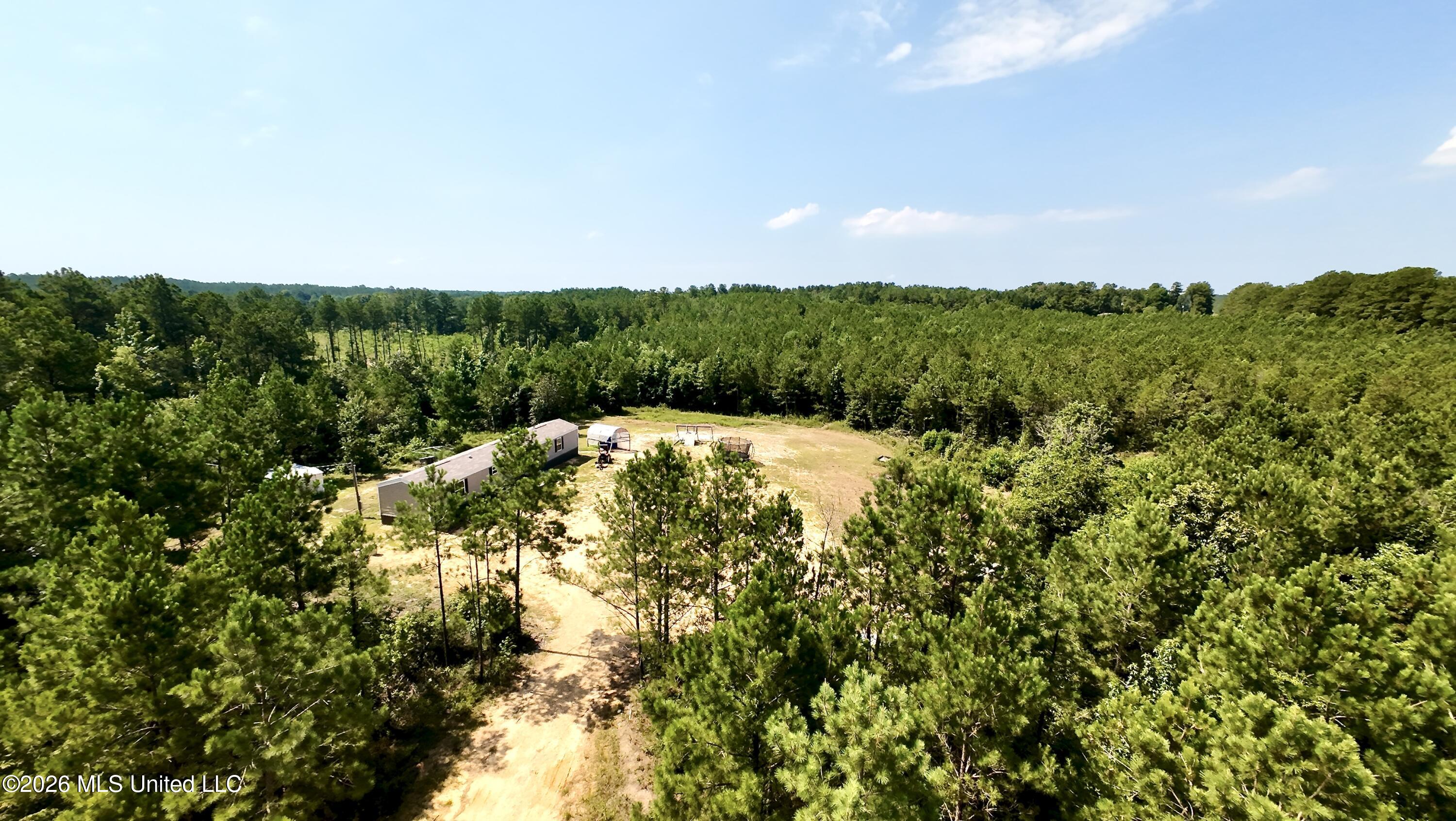 115 Tom Calhoun Road Mendenhall, MS 39114 - Photo 3 of 29 DJI_20260703105721_0289_D
