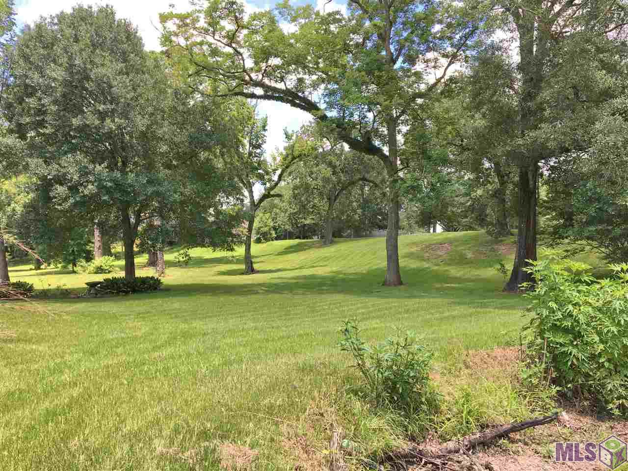 Lot 10 Jean Lafitte Avenue Baton Rouge, LA 70810 - Photo 5 of 5 from back left corner of lot